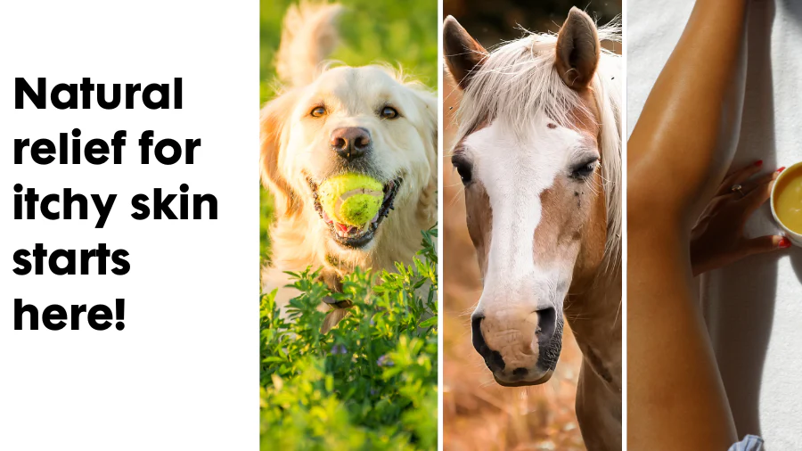 Welcome to Our Store